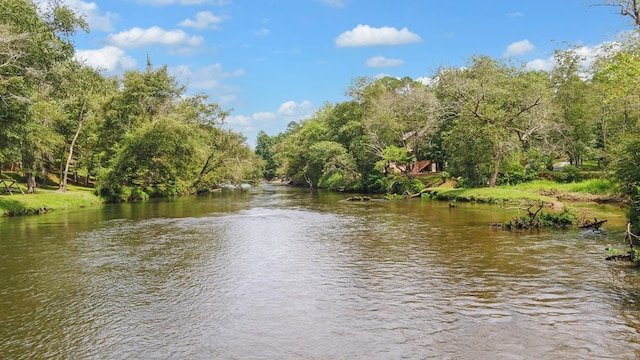 166 Dallas Ln, Blue Ridge, GA 30513 - property view of water