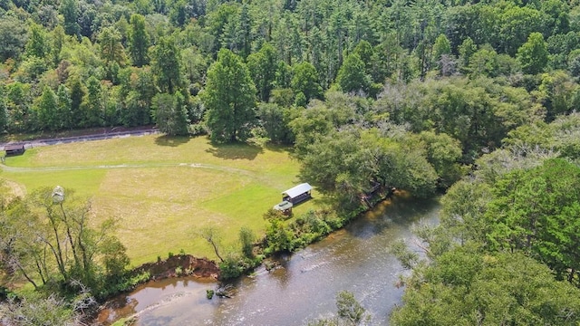 166 Dallas Ln, Blue Ridge, GA 30513 - aerial view