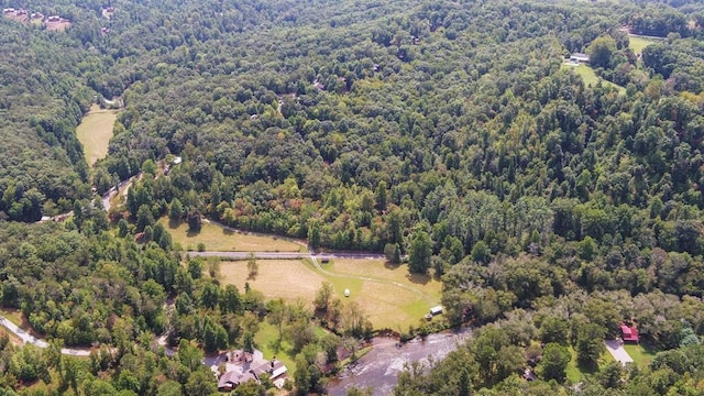 166 Dallas Ln, Blue Ridge, GA 30513 - birds eye view of property featuring a forest view