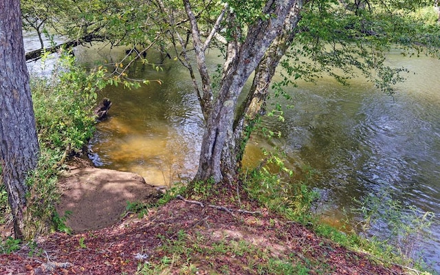 166 Dallas Ln, Blue Ridge, GA 30513 - view of nature