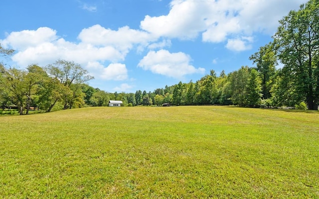 166 Dallas Ln, Blue Ridge, GA 30513 - view of yard
