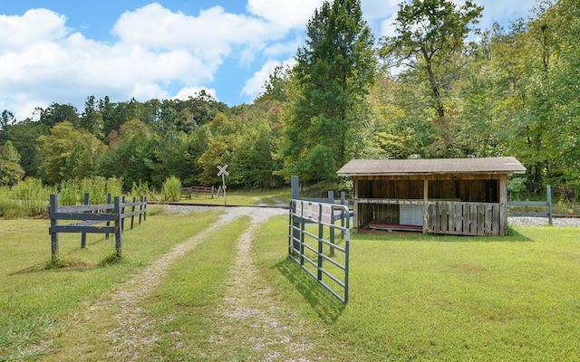 166 Dallas Ln, Blue Ridge, GA 30513 - surrounding community featuring a lawn, fence, and a forest view
