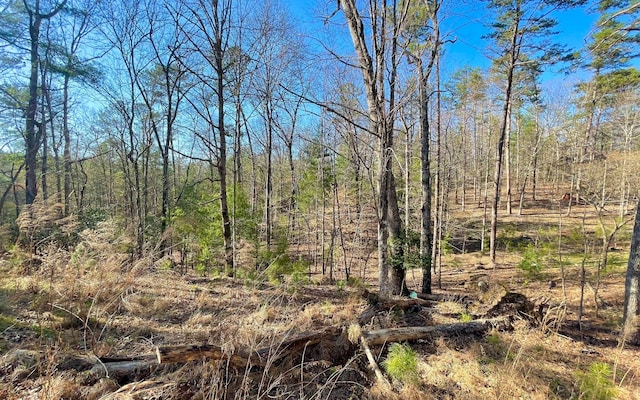 LT188 Lemmon Ln, Ellijay, GA 30540