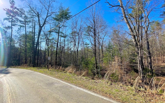 LT188 Lemmon Ln, Ellijay, GA 30540