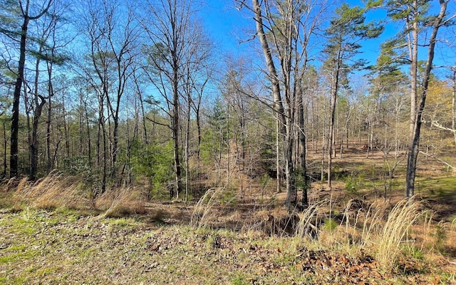 LT188 Lemmon Ln, Ellijay, GA 30540
