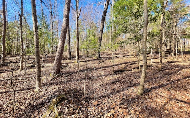 LT188 Lemmon Ln, Ellijay, GA 30540