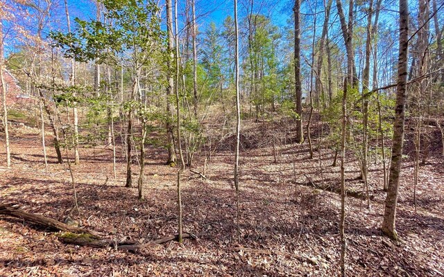 LT188 Lemmon Ln, Ellijay, GA 30540
