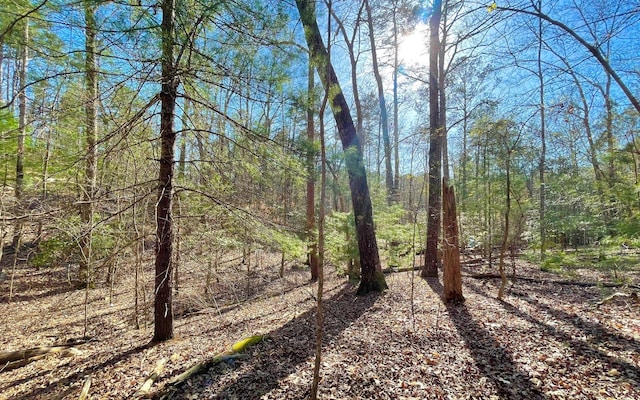 LT188 Lemmon Ln, Ellijay, GA 30540
