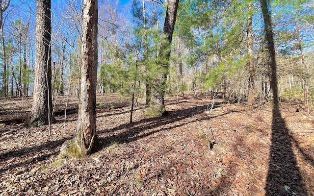 LT188 Lemmon Ln, Ellijay, GA 30540