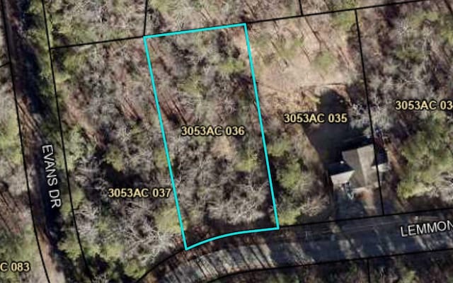 LT188 Lemmon Ln, Ellijay, GA 30540