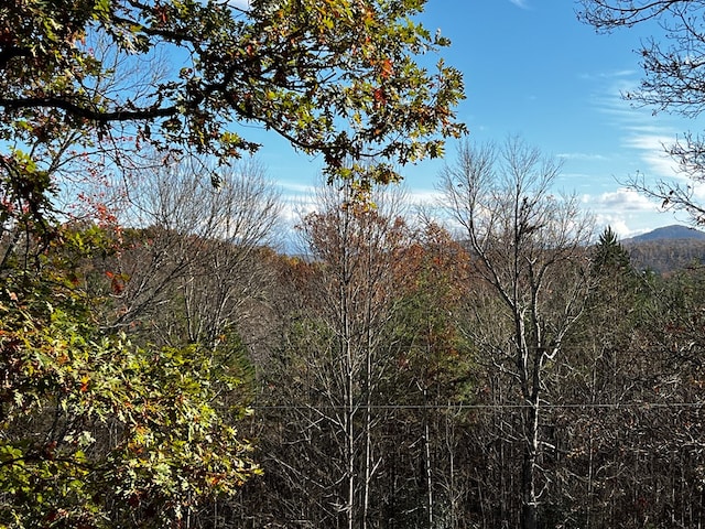 view of local wilderness with a mountain view