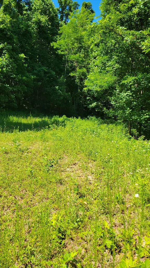 LOT7 Hickory Rdg, Hayesville, NC 28904