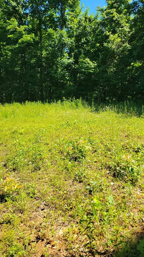 LOT7 Hickory Rdg, Hayesville, NC 28904