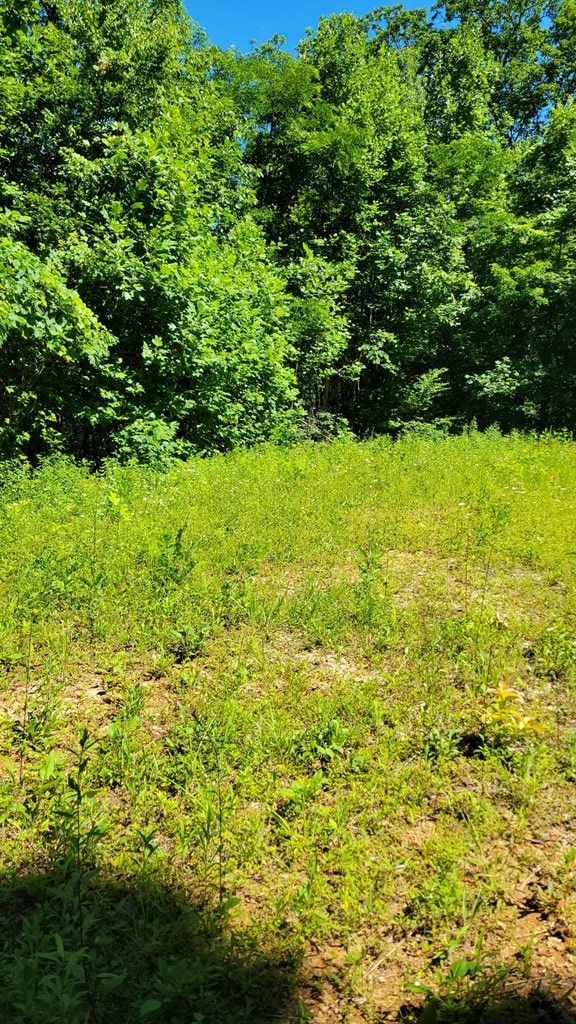 LOT7 Hickory Rdg, Hayesville, NC 28904