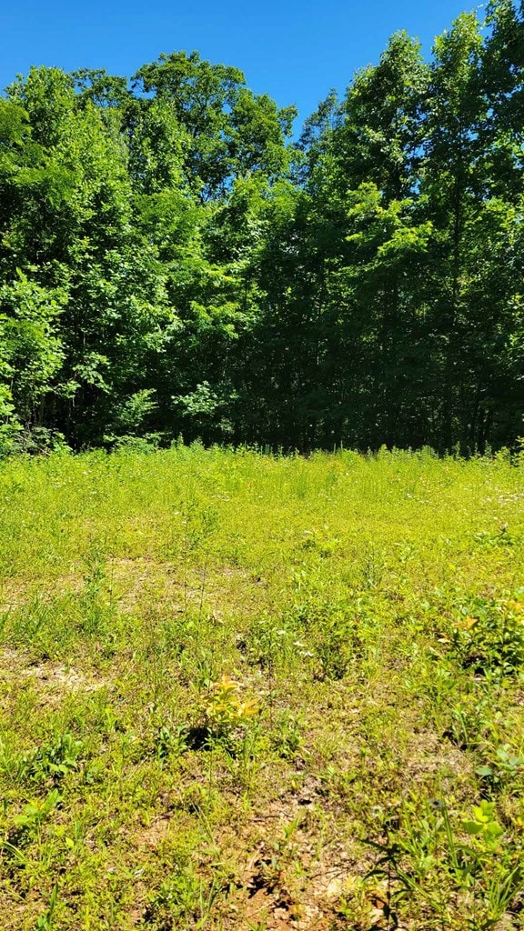 LOT7 Hickory Rdg, Hayesville, NC 28904