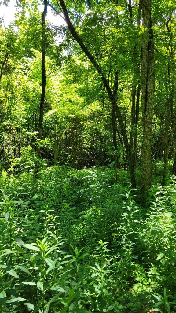 LOT7 Hickory Rdg, Hayesville, NC 28904