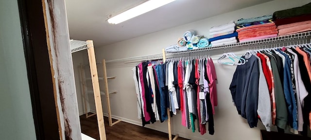 walk in closet with dark wood-type flooring