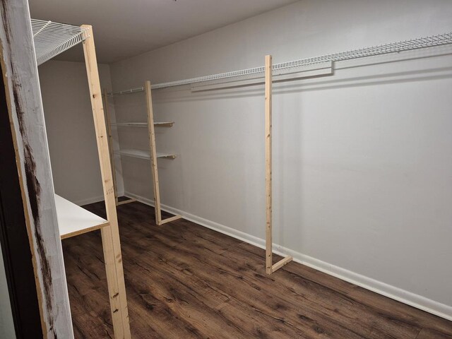 spacious closet with dark wood-type flooring