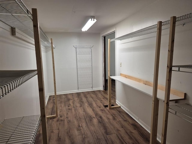 spacious closet featuring dark hardwood / wood-style floors