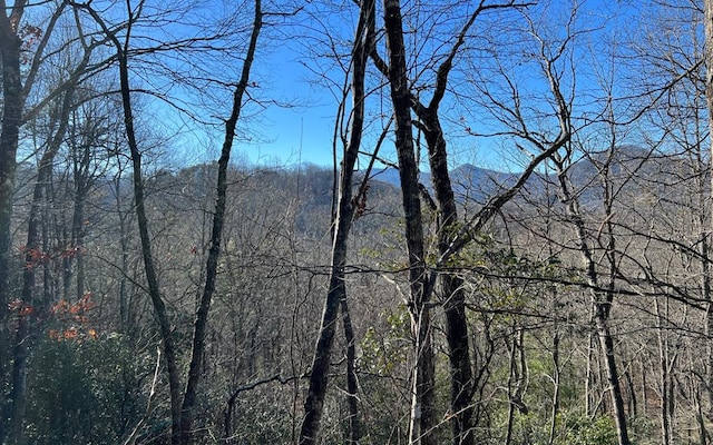 LOT33 Fodder Creek Mill Dr, Hiawassee GA, 30546 land for sale