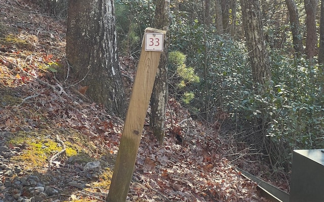 Listing photo 2 for LOT33 Fodder Creek Mill Dr, Hiawassee GA 30546