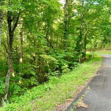 Listing photo 2 for LOT9 Wildflower Rdg, Warne NC 28909