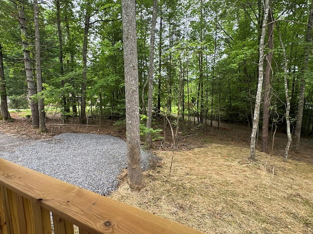 151 Martins Creek Ridge Rd, Murphy, NC 28906 - view of yard