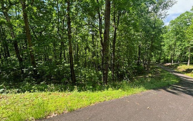 LOT90 Rocky Knob, Young Harris GA, 30582 land for sale