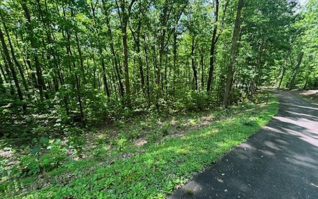 Listing photo 2 for LOT90 Rocky Knob, Young Harris GA 30582