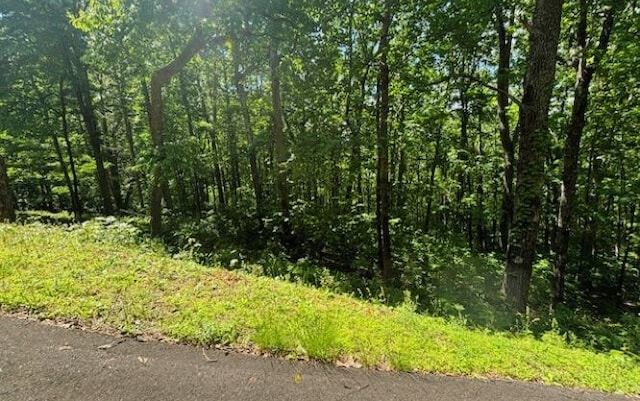 Listing photo 3 for LOT90 Rocky Knob, Young Harris GA 30582