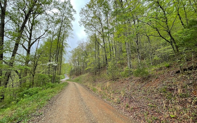 Listing photo 3 for LT31 Nelson Rdg, Hayesville NC 28904