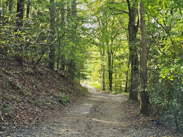 view of nature