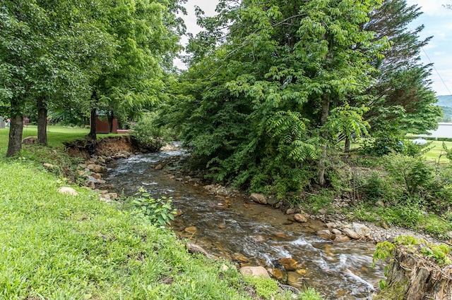 93 Lazy Bear Trl, Andrews, NC 28901 - view of yard