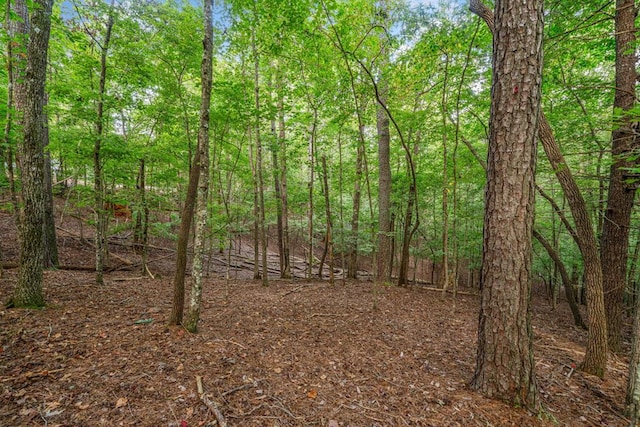 0 Gunite Cir, Ellijay GA, 30540 land for sale