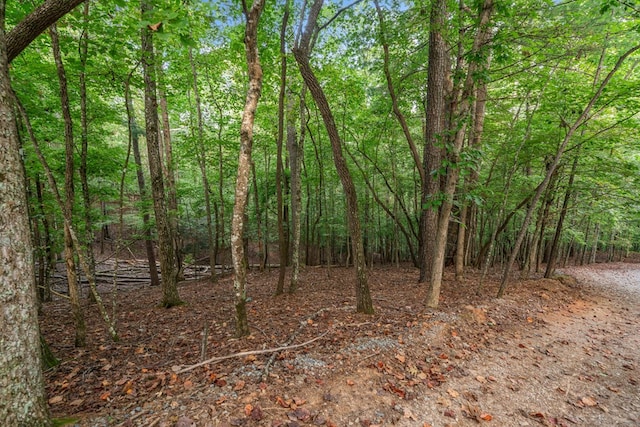 Listing photo 2 for 0 Gunite Cir, Ellijay GA 30540