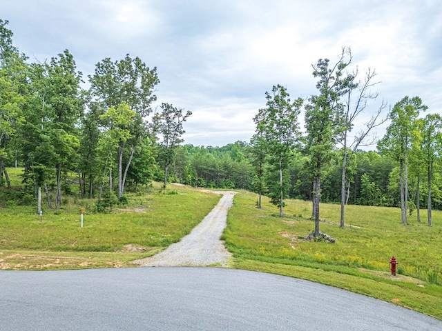 Listing photo 2 for LOT51 Hidden Hbr, Blairsville GA 30512