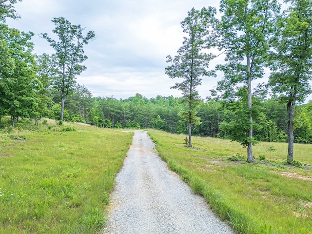 Listing photo 3 for LOT51 Hidden Hbr, Blairsville GA 30512