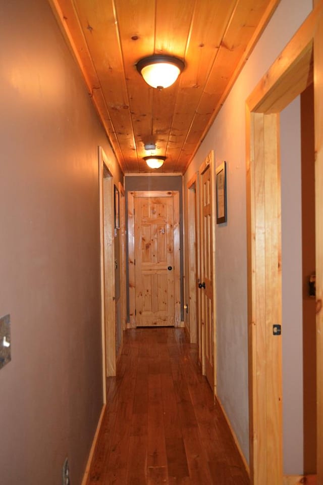 115 Black Oak Ridge Rd, Blue Ridge, GA 30513 - hall with dark wood-style floors