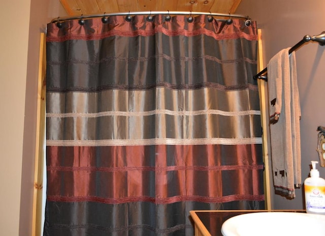 115 Black Oak Ridge Rd, Blue Ridge, GA 30513 - full bath with vanity and a shower with curtain