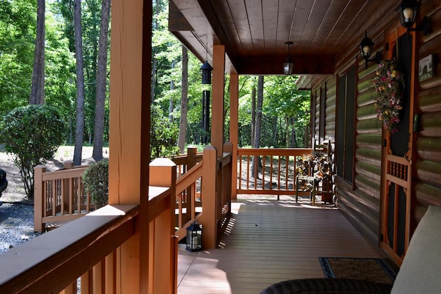 115 Black Oak Ridge Rd, Blue Ridge, GA 30513 - view of porch