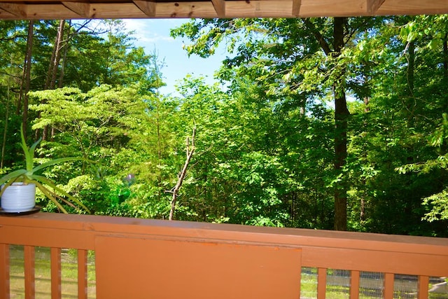 115 Black Oak Ridge Rd, Blue Ridge, GA 30513 - exterior view