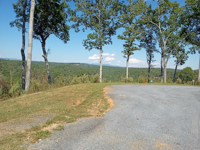 Listing photo 2 for LT104 Jakes Landing Dr, Ellijay GA 30540