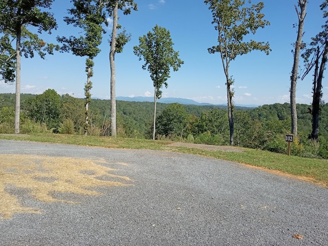 Listing photo 3 for LT104 Jakes Landing Dr, Ellijay GA 30540