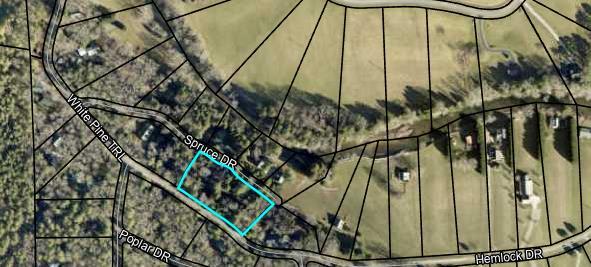 Listing photo 2 for LOT36 Spruce Dr, Suches GA 30572