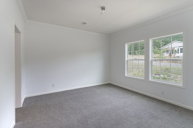 empty room featuring crown molding, a textured ceiling, and dark colored carpet