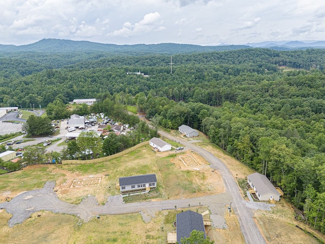 drone / aerial view featuring a mountain view