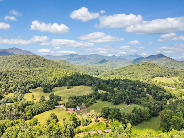 14.14AC Tom Wheeler Rd, Hiawassee GA, 30546 land for sale