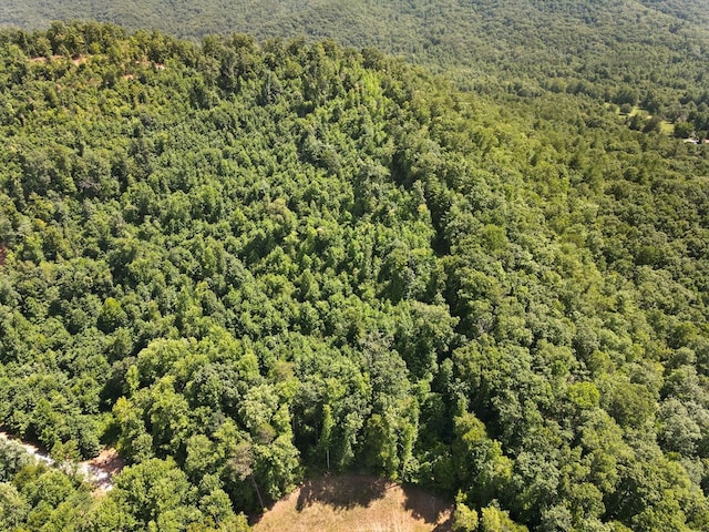 Listing photo 3 for 14.14AC Tom Wheeler Rd, Hiawassee GA 30546