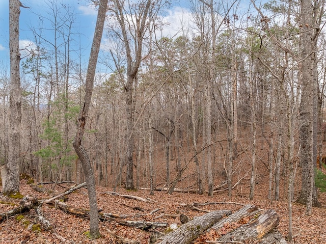 view of nature with a forest view