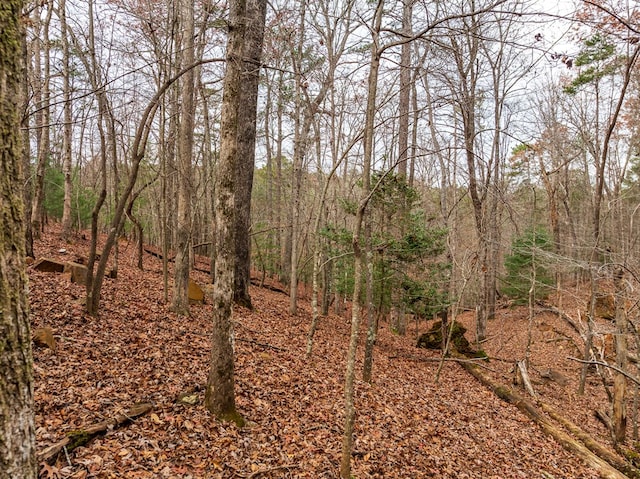 view of landscape with a forest view